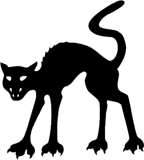 Black Cat at Halloween
