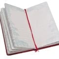 Write in Journal